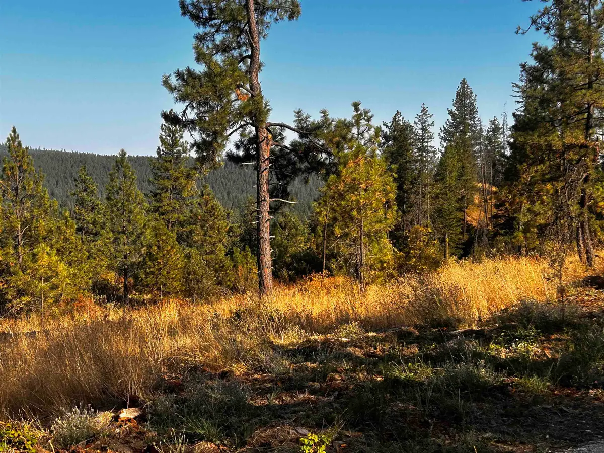 4330192100 Horseshoe Lake Rd, Deer Park, WA 99006 - Image #1