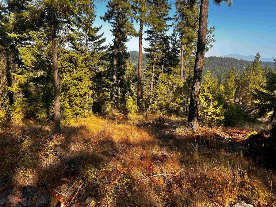 4330192100 Horseshoe Lake Rd, Deer Park, WA 99006 - Image #2