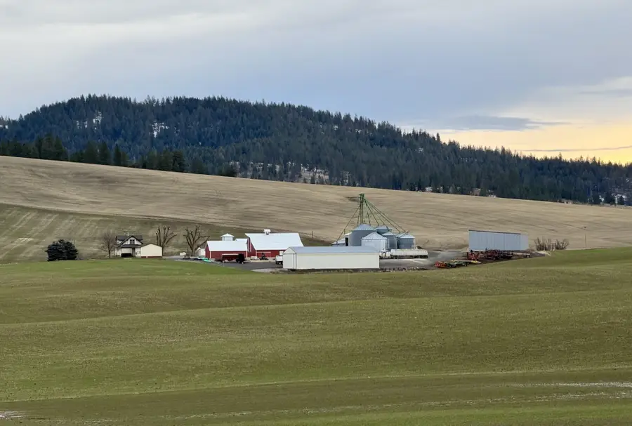 13102 S Sr 27 Hwy, Mica, WA 99023 - Image #2