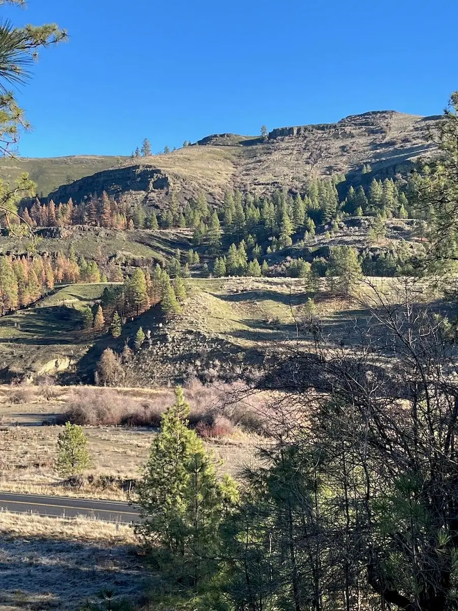 31824 Blue Grouse E Dr, Davenport, WA 99122 - Image #2