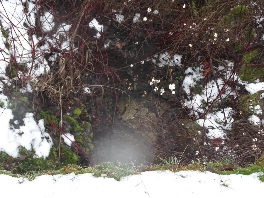 17208 E Blanchard Rd, Elk, WA 99009 - Image #2