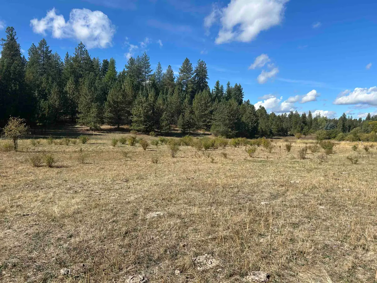 47161.0305 N Northwood Dr, Mead, WA 99021 - Image #1