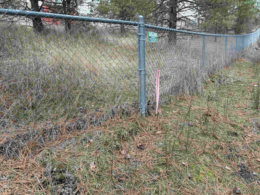 NKA E Stringham Rd, Rockford, WA 99030 - Image #2