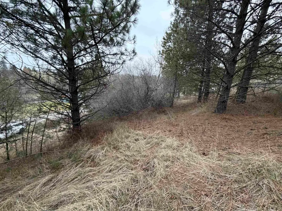 NKA E Stringham Rd, Rockford, WA 99030 - Image #3