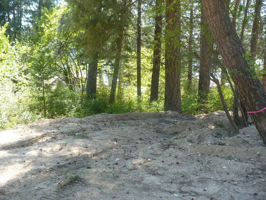 4619 Terrace Rd, Loon Lake, WA 99148 - #3