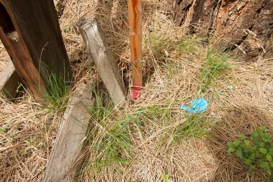 202 Eagle Dr, Chewelah, WA 99109 - Image #3