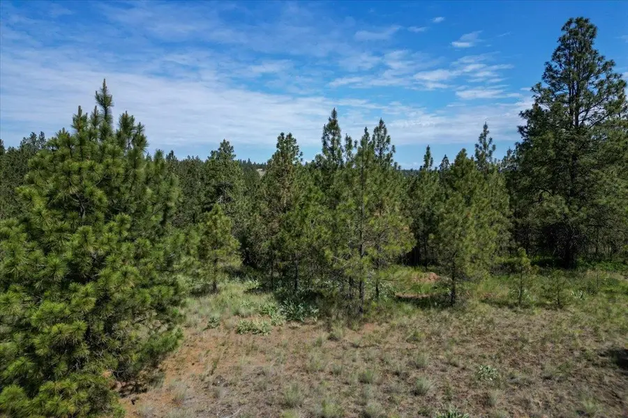 1305 E Wildflower Ln, Spokane, WA 99224 - Image #3