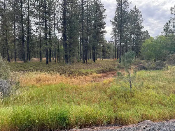 17xxx S Malloy Prairie Rd, Cheney, WA 99004