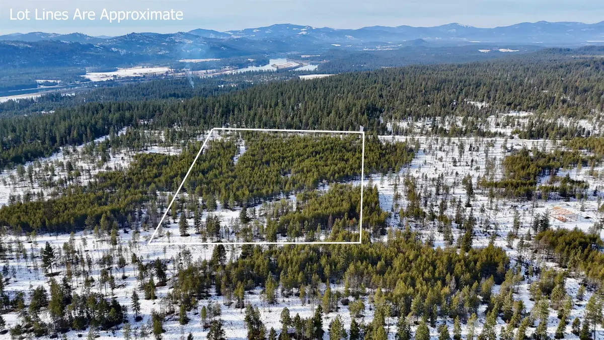 321 Misty Ridge Ln, Newport, WA 99156 - Image #1