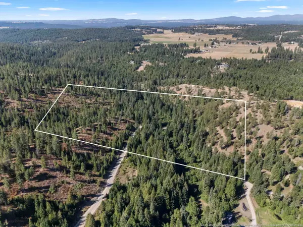 TBD E Antler Rd, Chattaroy, WA 99003