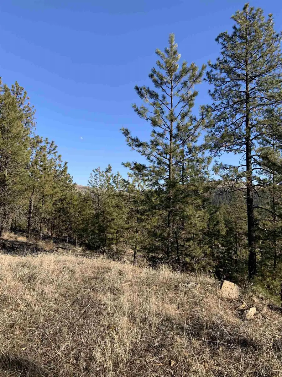 Lot 1 Blue Jay Bob White Ln, Davenport, WA 99122 - Image #3