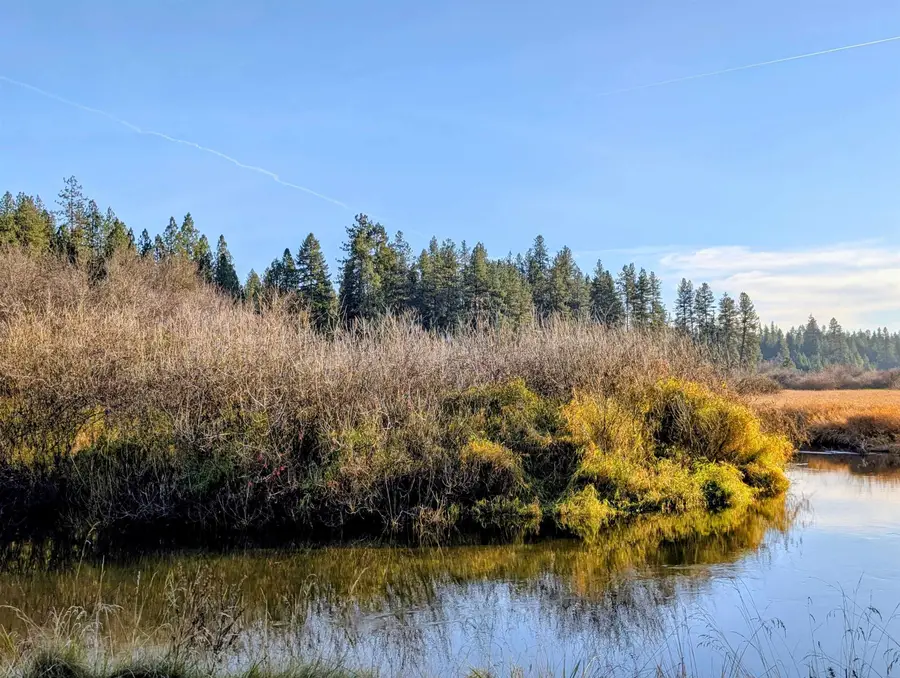 26310 N River Estates Dr, Chattaroy, WA 99003 - #3