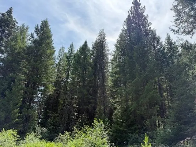 Address Withheld By Seller, Springdale, WA 99173 - #3