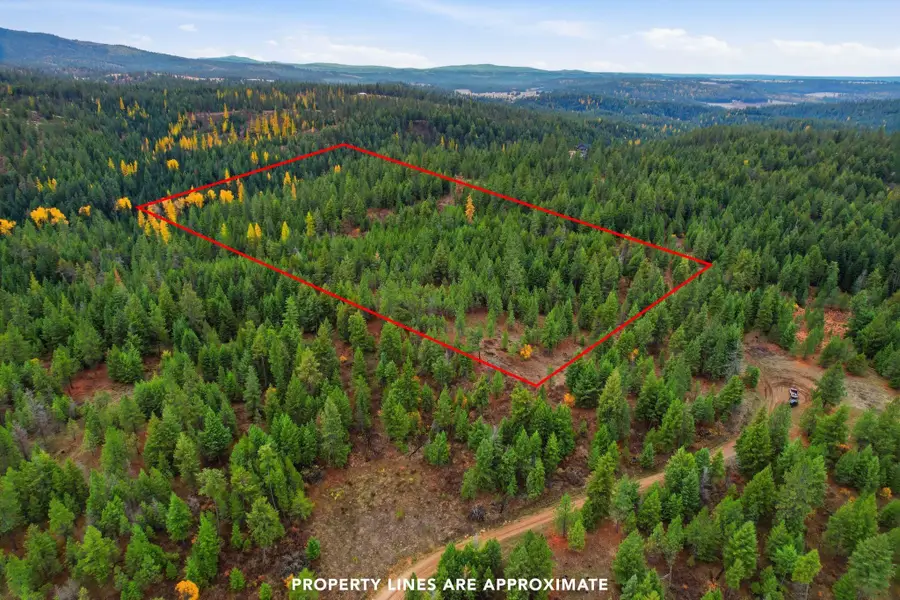 48094.9045 000 Unknown Rd, Chattaroy, WA 99003 - Image #2