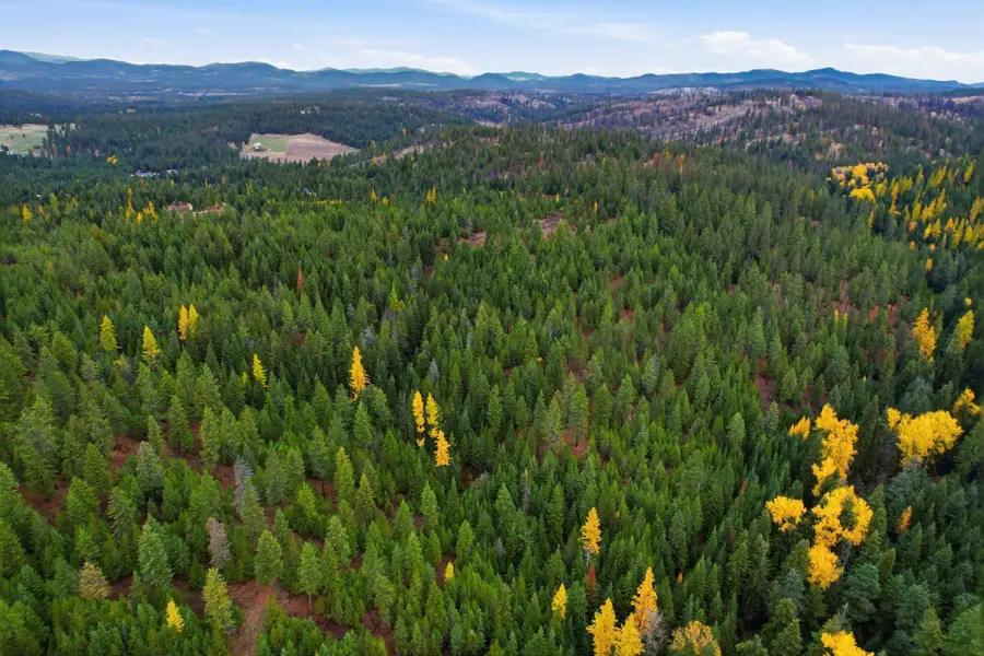 48094.9045 000 Unknown Rd, Chattaroy, WA 99003 - Image #3