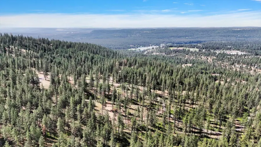 NKA Weaver Way, Deer Park, WA 99006 - #3