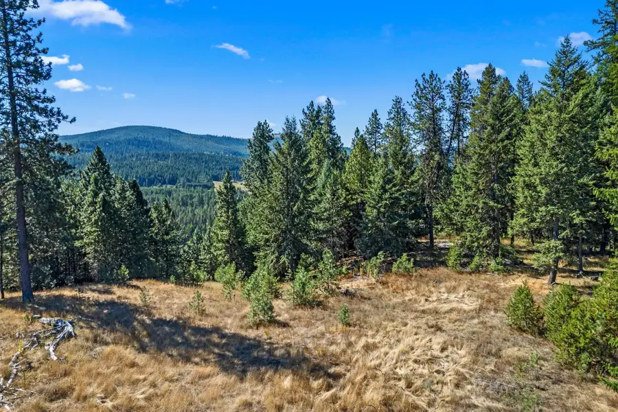 NKA Pines Rd, Newport, WA 99156 - Image #3