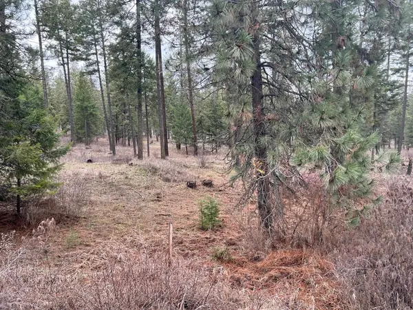 Nicholson Rd Parcel Rd, Elk, WA 99009