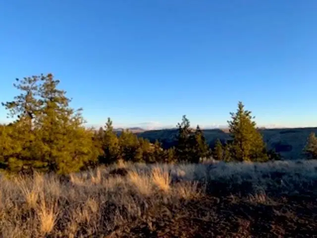 31775 Ruffed Grouse E Dr, Davenport, WA 99122 - #2