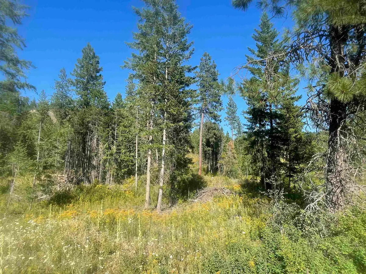 NKN Bead Lake Road Rd, Newport, WA 99156 - #1