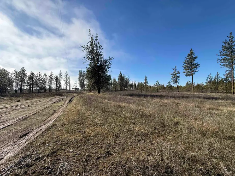 7552 Kimberly Drive Way, Ford, WA 99013 - #2