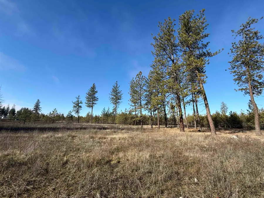 7552 Kimberly Drive Way, Ford, WA 99013 - #3