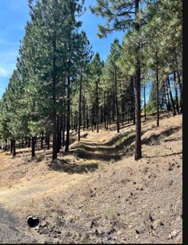 13110 S Fairway Ridge Ln, Spokane, WA 99224 - #3