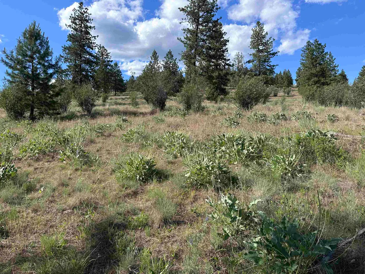 6581 Saddle Mountain Way, Deer Park, WA 99006 - #1