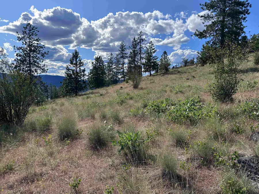 6581 Saddle Mountain Way, Deer Park, WA 99006 - #3