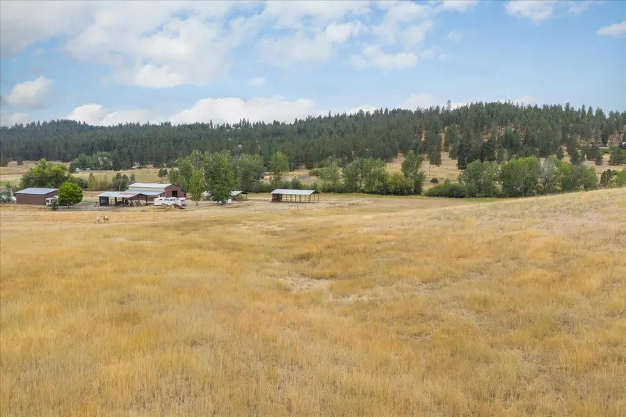 196xx N Madison Rd, Colbert, WA 99218 - #2