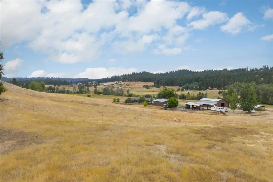 196xx N Madison Rd, Colbert, WA 99218 - #3
