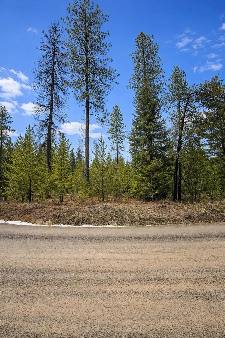 1420 Driskill Rd, Newport, WA 99156 - #3