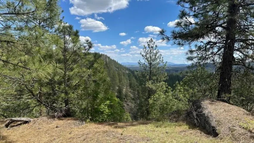 NKA Landon Ln, Spokane, WA 99208 - #2