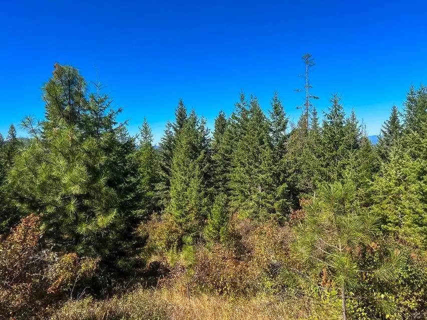 52XX Lot 5 S Swenson Rd, Deer Park, WA 99006 - #3