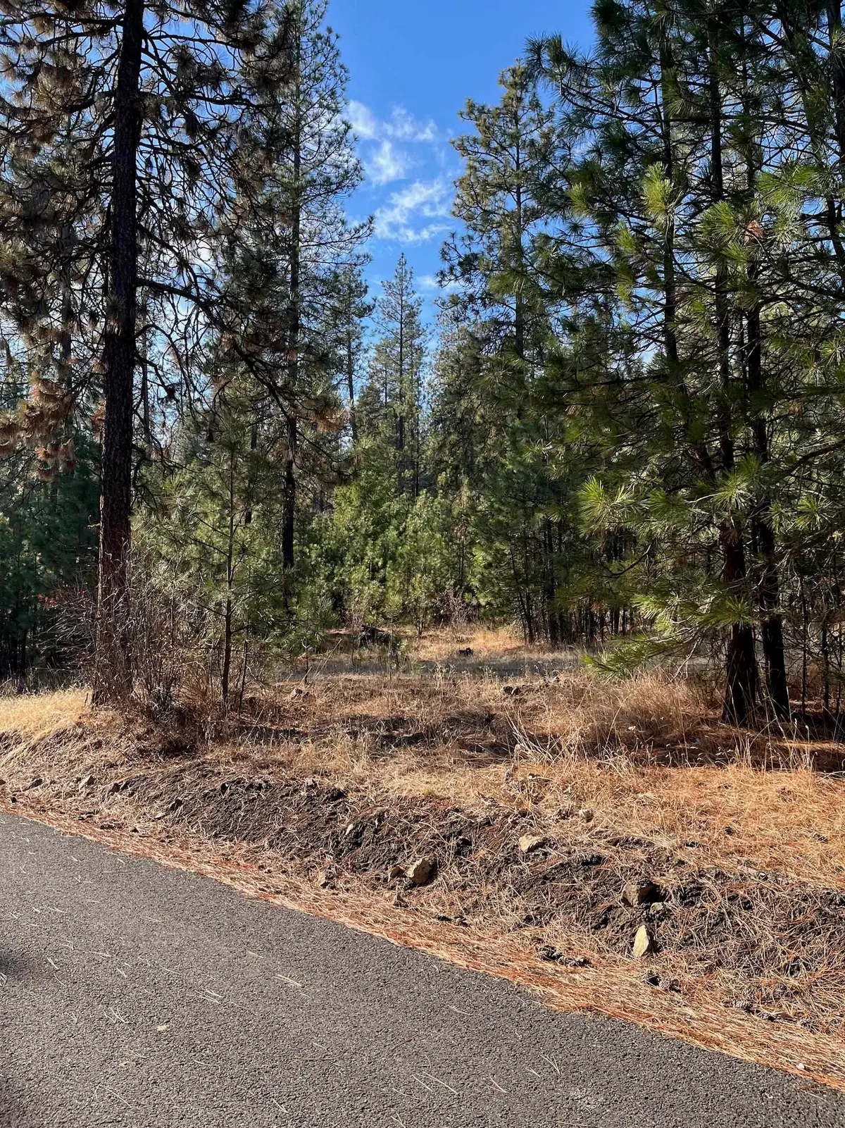 Lot 2 Wapiti Bobwhite Ln, Davenport, WA 99122 - #1