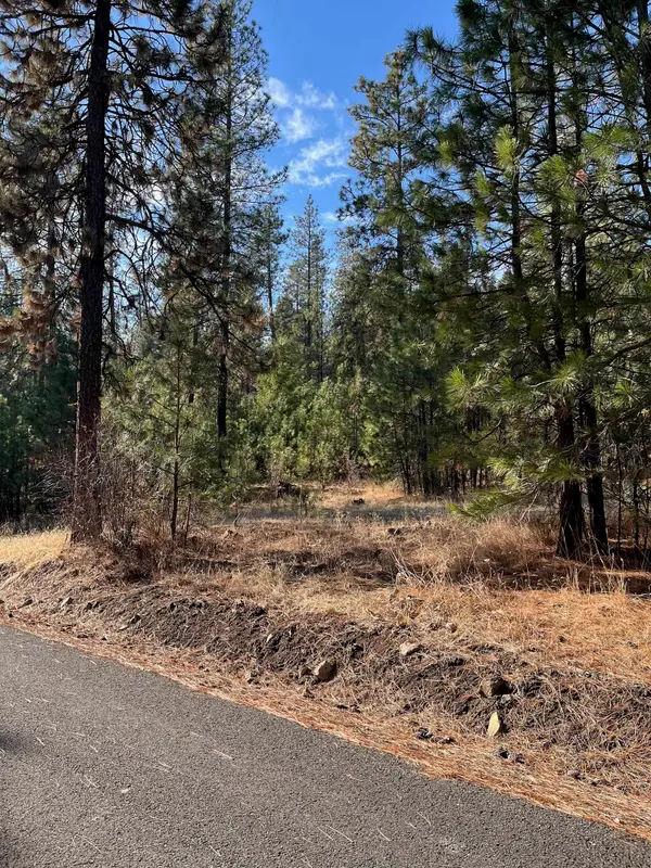 Lot 2 Wapiti Bobwhite Ln, Davenport, WA 99122