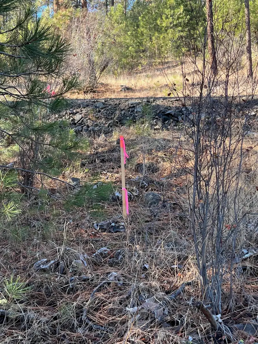 Lot 2 Wapiti Bobwhite Ln, Davenport, WA 99122 - #2
