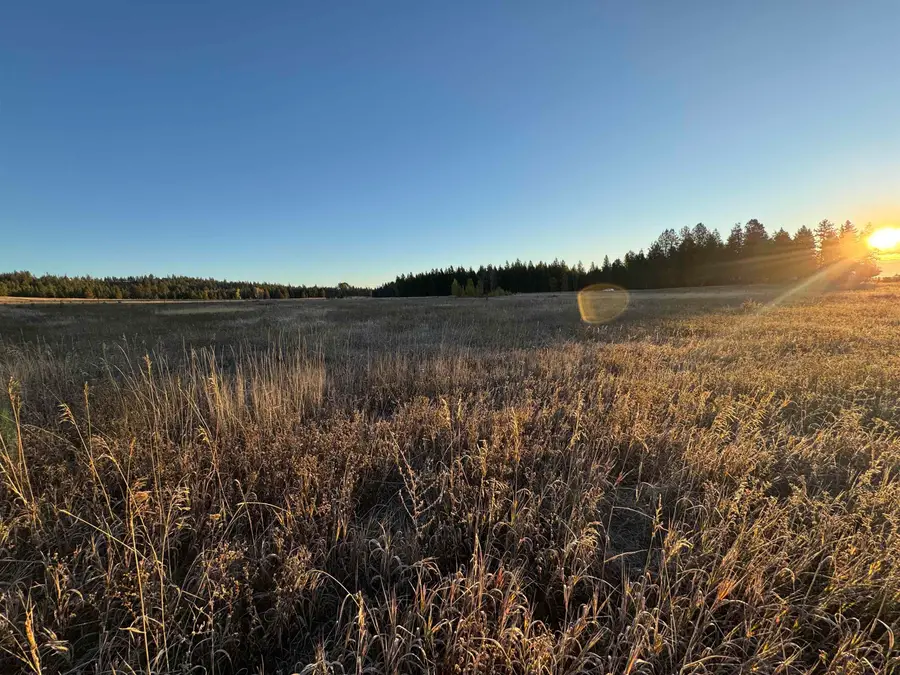 XX Mason Rd, Clayton, WA 99110 - #2