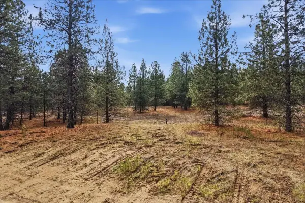 65xx Whispering Pines Way, Nine Mile Falls, WA 99026