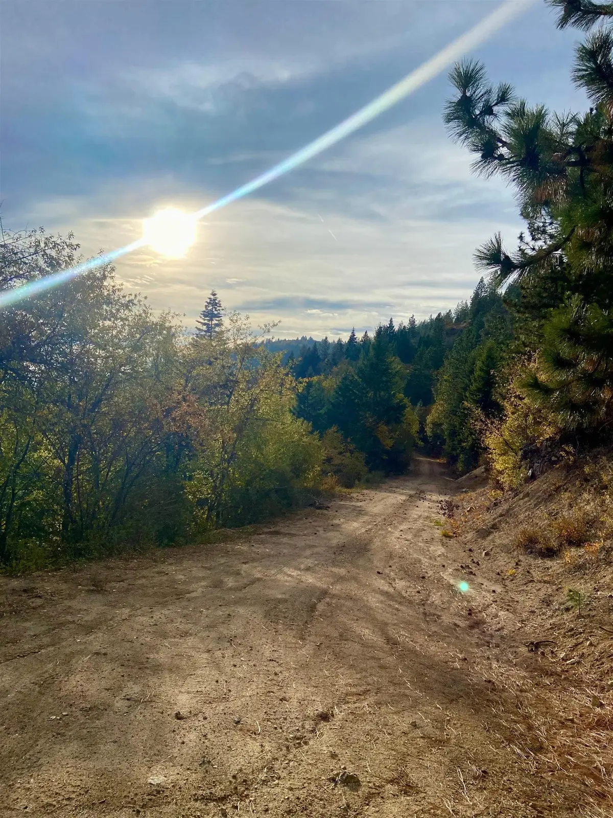 896 Rocky Mountain Rd, Newport, WA 99156 - #1