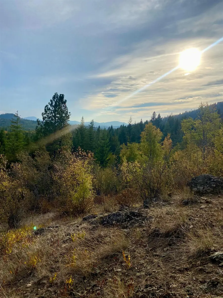 896 Rocky Mountain Rd, Newport, WA 99156 - #2