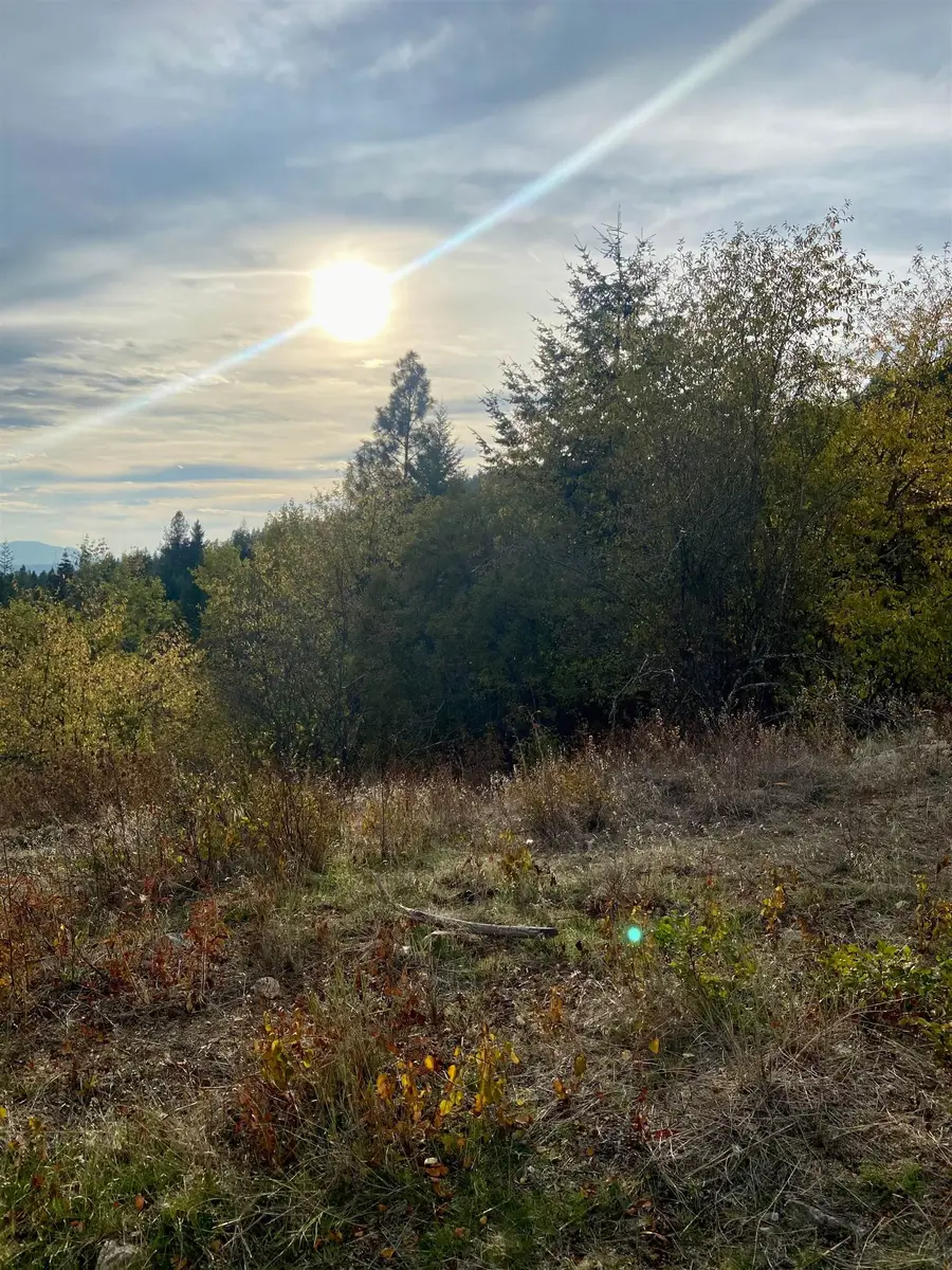 896 Rocky Mountain Rd, Newport, WA 99156 - #3