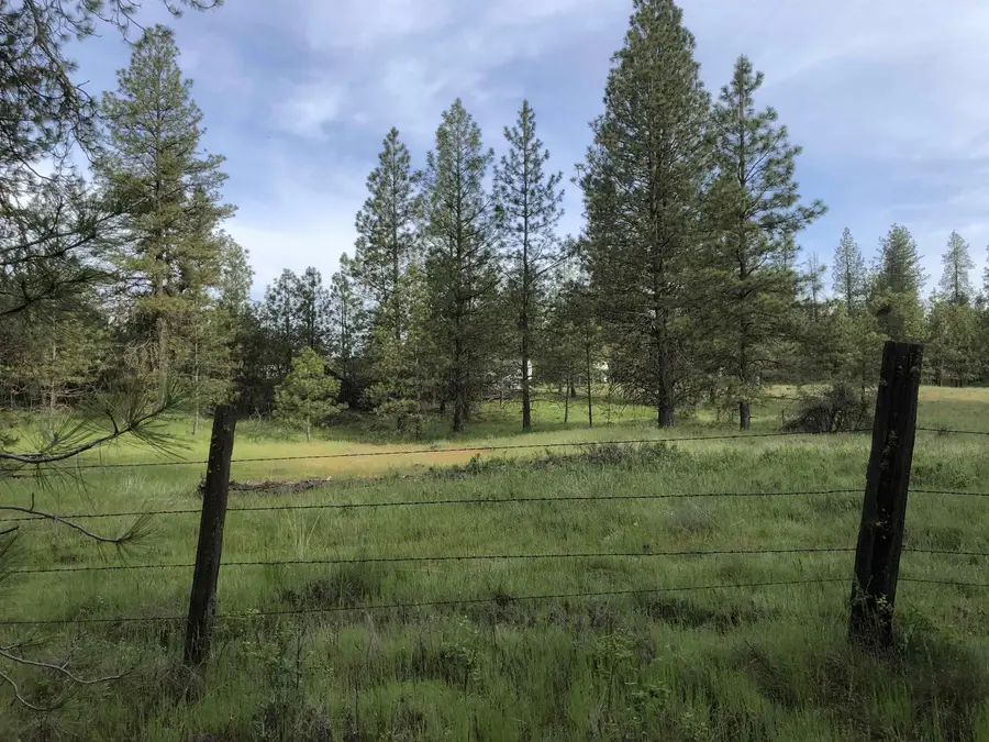 11300 S Stangland Rd, Medical Lake, WA 99022 - #3