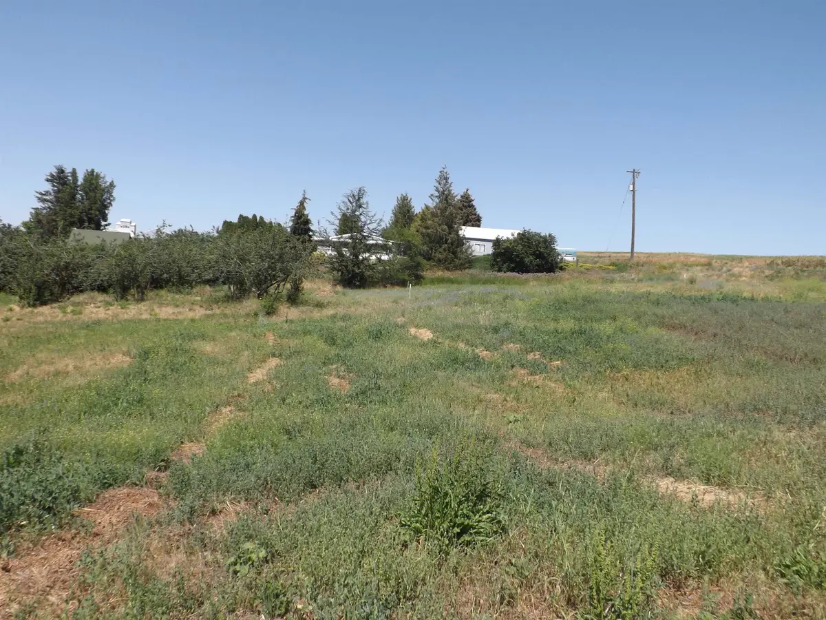 xxx E A St, Rosalia, WA 99170 - #1