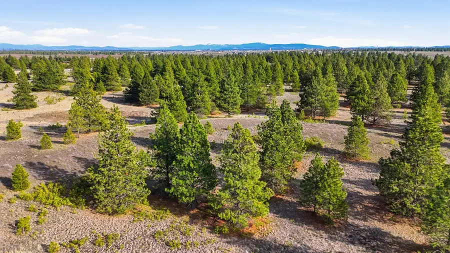 00 N Dover Rd, Medical Lake, WA 99022 - #3