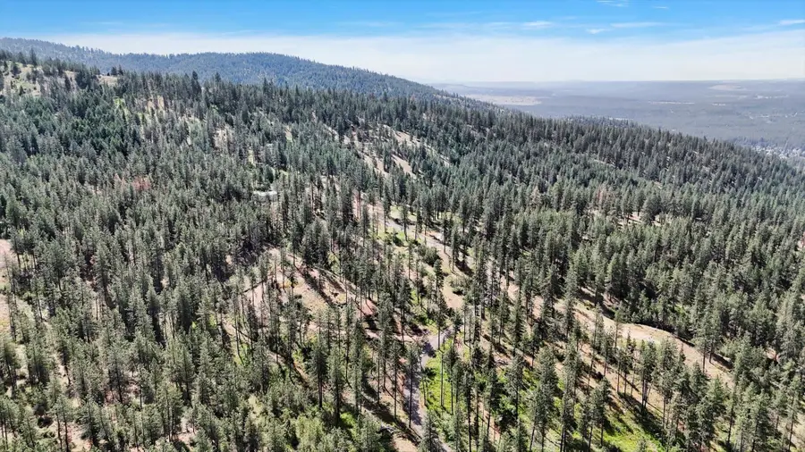 NKA Lower Weaver Way, Deer Park, WA 99006 - #3