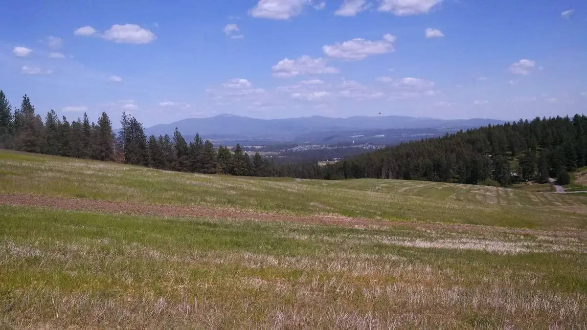 16419 N Dalton Rd, Spokane, WA 99208 - #1