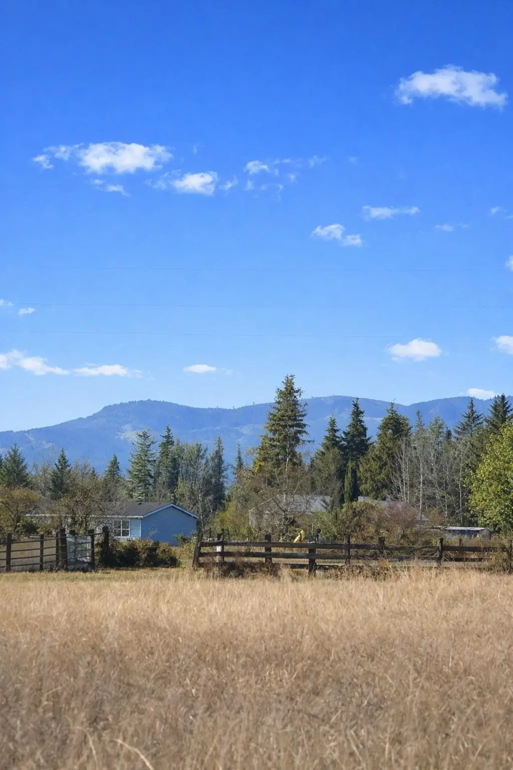 413XX N Short Rd, Deer Park, WA 99006 - #1