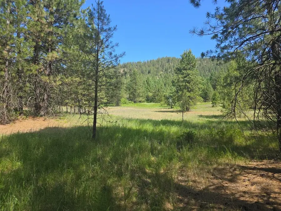 TBD 395 Hwy, Loon Lake, WA 99148-0000 - #3