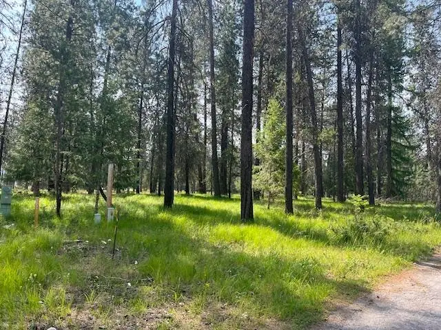 203 Eagle Dr, Chewelah, WA 99109 - #2